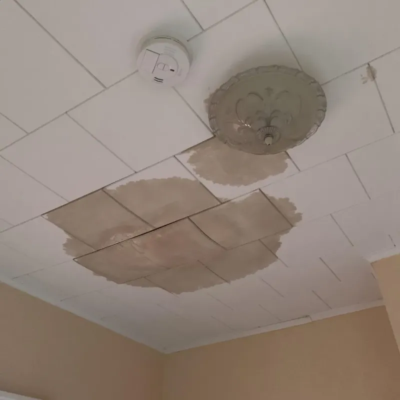 Ceiling Water Damage Repair in Lake County, TN