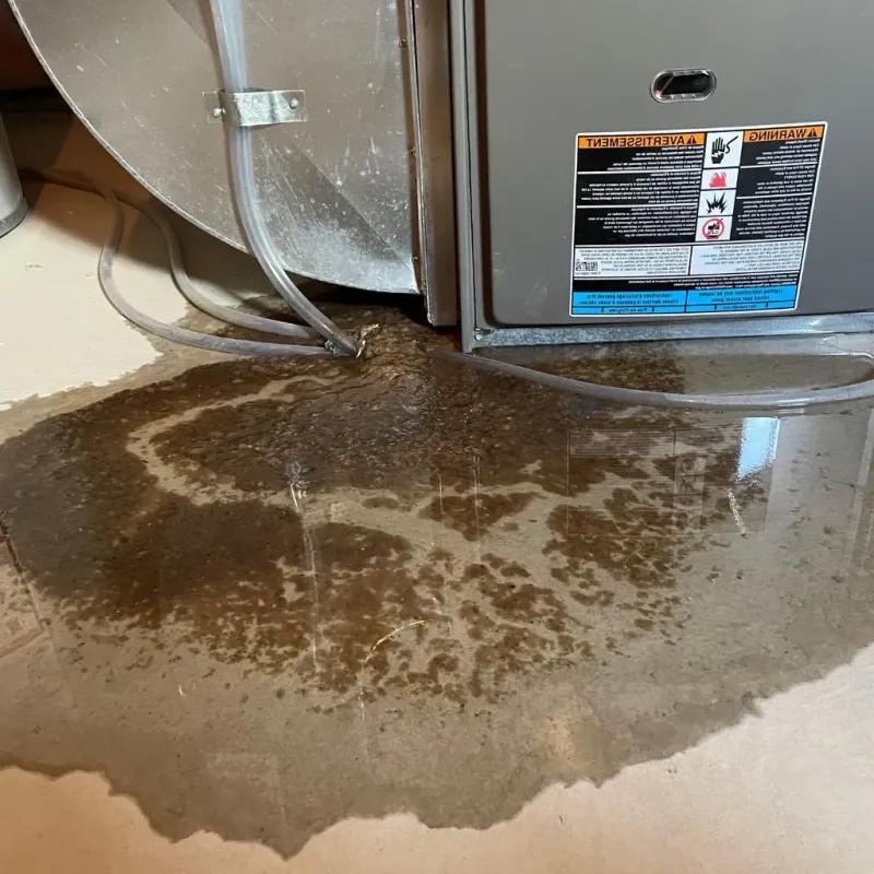 Pipe Burst and Leak Restoration in Lake County, TN