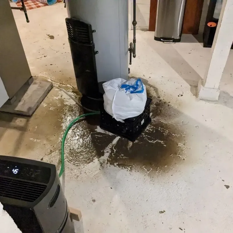 Sewage Backup Cleanup Service in Lake County, TN